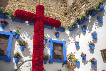 red cross in Cordoba, south city of Andalucia - obrazy, fototapety, plakaty