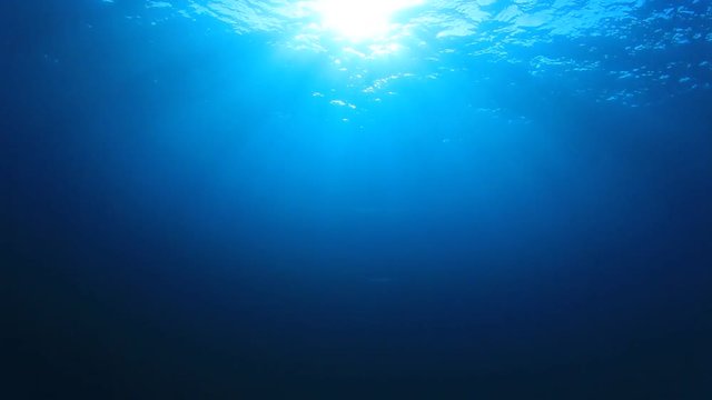 Underwater in ocean
