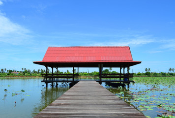 Thai pavilion in lotus pond