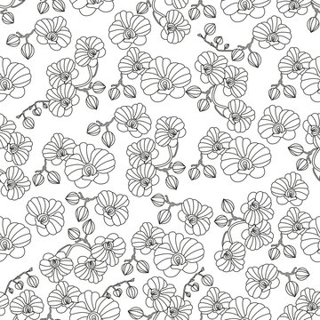 Vector seamless pattern with orchids.