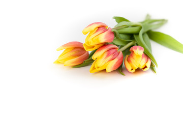 Bouquet of orange yellow tulips on a white background, isolated with copy space. Greeting card.