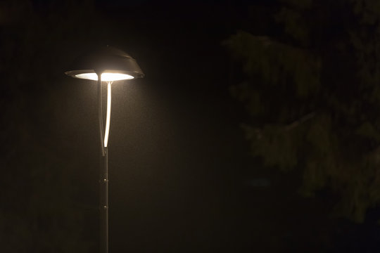 lantern in a misty winter evening