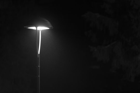 lantern in a misty winter evening - black and white
