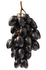 Juicy Grapes on white background