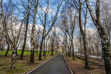 Alley in spring Park
