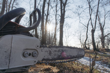Close-up professional chainsaw blade cutting log of wood