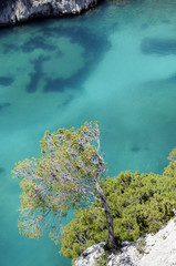 Naklejka premium calanque denvau