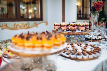 The tiramisu and different biscuits  stand on the buffet table
