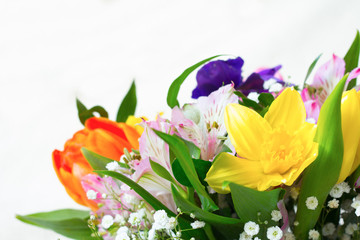 spring flower bouquet isolated