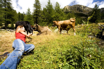 femme souriant couchée dans l'herbe avec des vaches