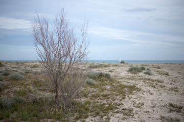 Fototapeta na wymiar On a beach near Sagunto in Valencia