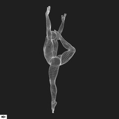 Fototapeta na wymiar Gymnast. Man. 3D Model of Man. Human Body Model.