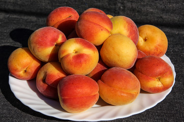 Fototapeta na wymiar large ripe apricots on a white plate