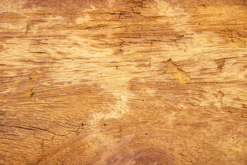 Wood texture background