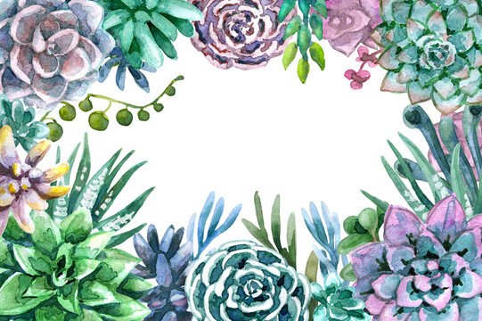 22-489-best-succulent-border-images-stock-photos-vectors-adobe-stock