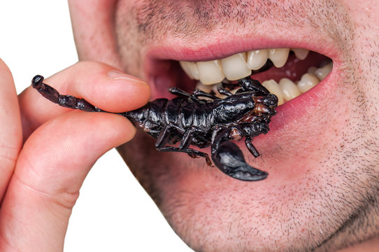 Man Eat Fried Scorpion