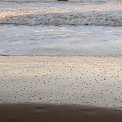 sea waves on the sand