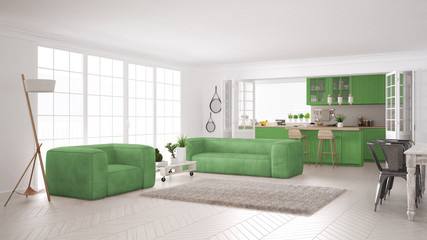 Minimalist white and green living and kitchen, scandinavian classic interior design