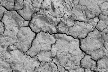 Dry cracked earth background. Cracked earth texture.