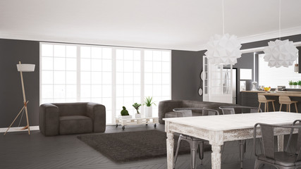 Minimalist white and gray living and kitchen, scandinavian classic interior design