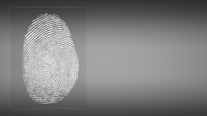 digital fingerprint