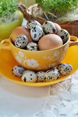 Chicken eggs and quail eggs in colorful porcelain dish. Easter breakfast
