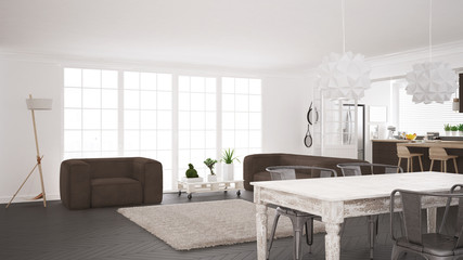 Minimalist white and brown living and kitchen, scandinavian classic interior design