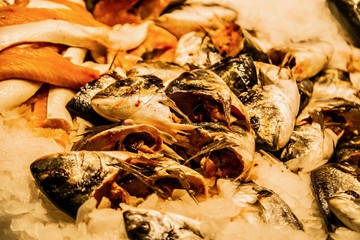 A long fish and shellfish in Boqueria