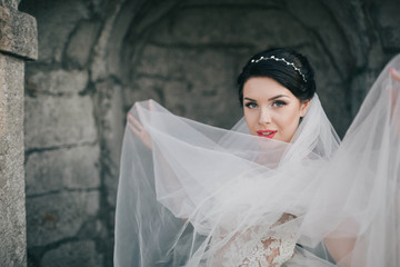 beautiful portrait of young and charming bride in veil