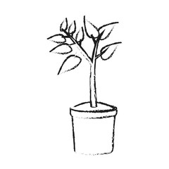 Obraz premium potted plant icon image vector illustration design 