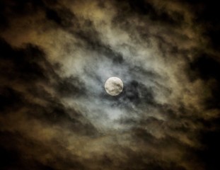 Moon