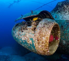 Foto op Canvas Port side engine of an underwater airplane wreck © whitcomberd