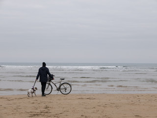Fototapeta premium A man walking with his bicycle and dog on the beach