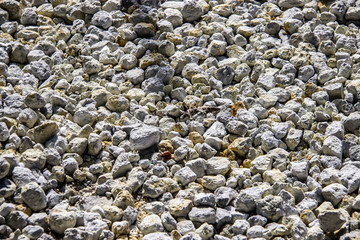  Stones lying on the ground