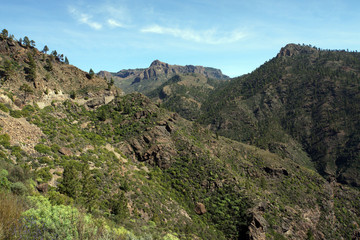 Fototapeta na wymiar Wanderung am Roque Nublo Landschaftspark Parque Rural del Nublo