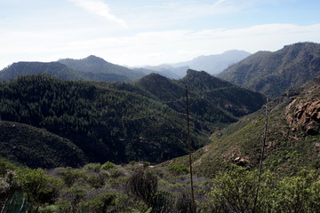 Fototapeta na wymiar Bergwelt im Landschaftspark Parque Rural del Nublo