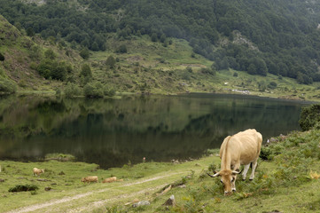 Fototapeta na wymiar Lake of Lers, Midi Pyrenees, Ariege, France,