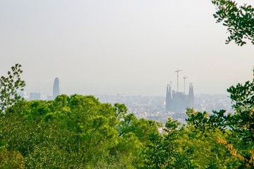 the beast see of barcellona