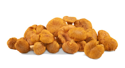 Heap of chanterelle mushrooms on white background.