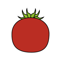 red tomato icon image vector illustration design 
