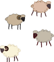 Seamless pattern  with sheep
