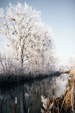 Land Brandenburg im Winter 