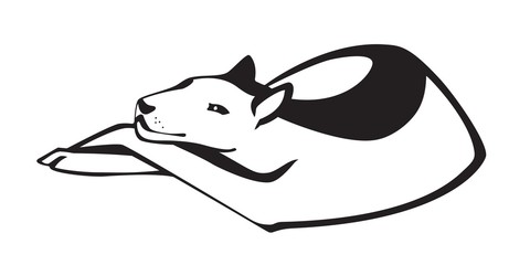 Black silhouette of a dog. Vector isolated on white background.