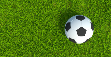 3D rendering, Football soccer on grass soccer field background.