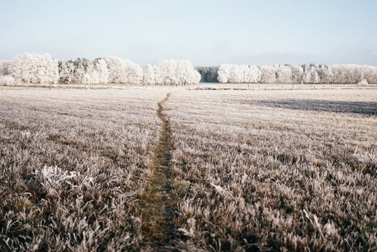Land Brandenburg im Winter 