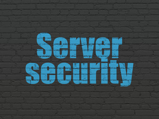 Protection concept: Server Security on wall background