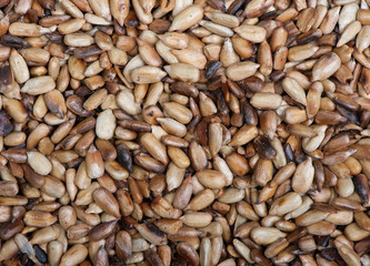 Overcooked peeled sunflower seeds