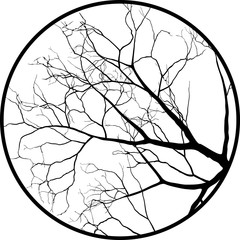 Bare branches in circle - vector illustration