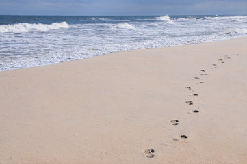 Foot prints on a sandy beach