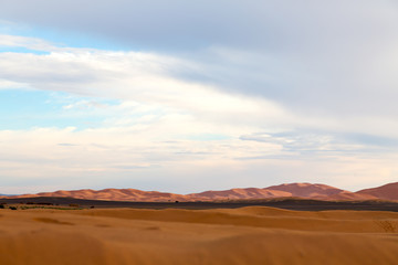 Fototapeta na wymiar sunshine in the desert of morocco sand and dune
